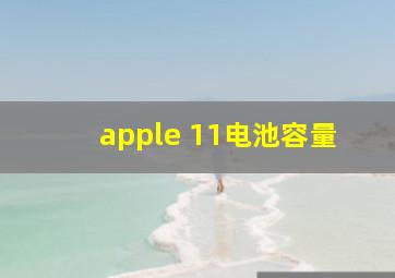 apple 11电池容量